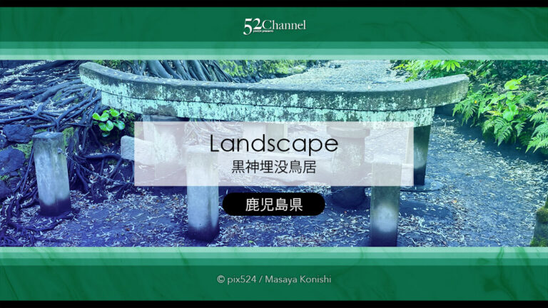 黒神埋没鳥居：1日で灰に埋まった鳥居の姿！観光・撮影スポット！桜島噴火の爪痕とは？