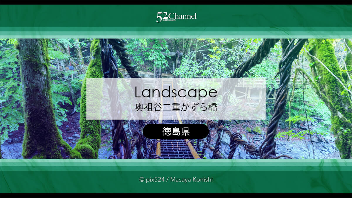 奥祖谷二重かずら橋:渓谷に映える男橋と女橋観光と撮影ポイント!秘境の撮影スポット