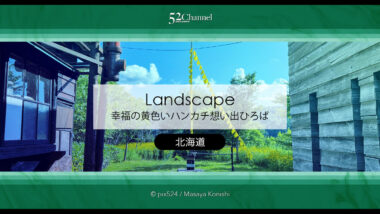 幸福の黄色いハンカチ想い出ひろば：名画の世界観切り取る撮影地！観光・撮影スポット