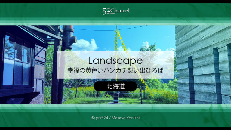 幸福の黄色いハンカチ想い出ひろば：名画の世界観切り取る撮影地！観光・撮影スポット