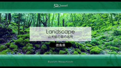 山犬嶽の苔の名所：もののけの世界を感じる苔に覆われた癒し空間！徳島県の癒しスポット