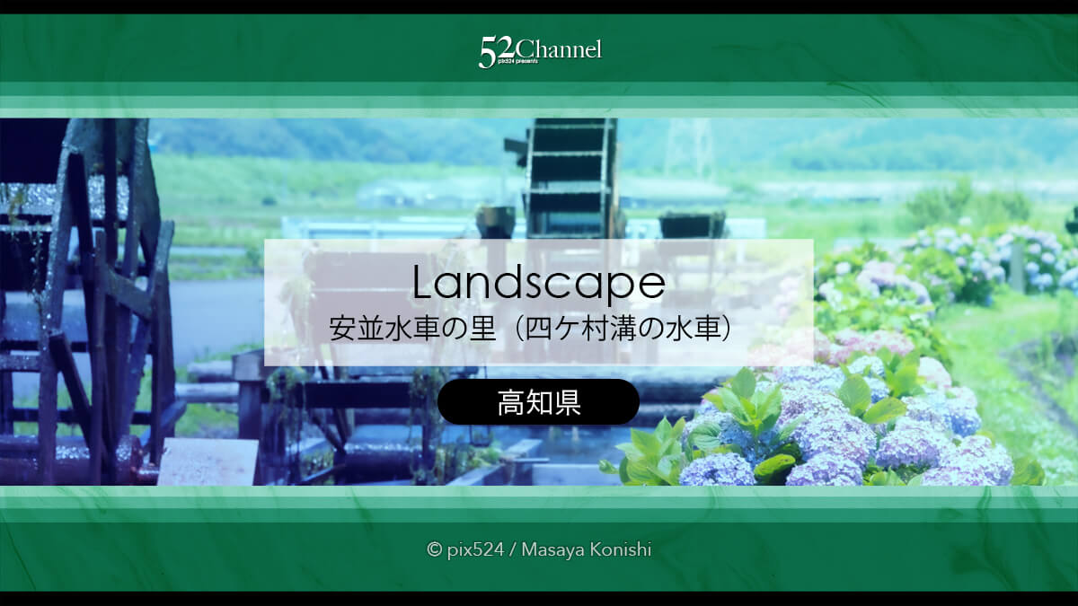 安並水車の里(四ケ村溝の水車):紫陽花と水車の見どころと撮影!観光と撮影ポイント