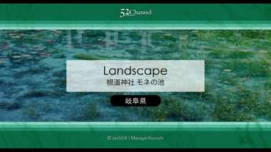 モネの池：根道神社 岐阜県関市の撮影ポイントとアクセス！幻想的な池の撮影と季節別の魅力