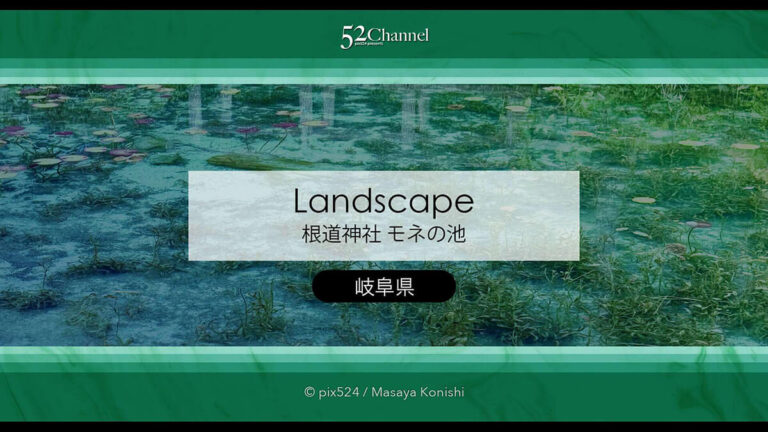 モネの池：根道神社 岐阜県関市の撮影ポイントとアクセス！幻想的な池の撮影と季節別の魅力