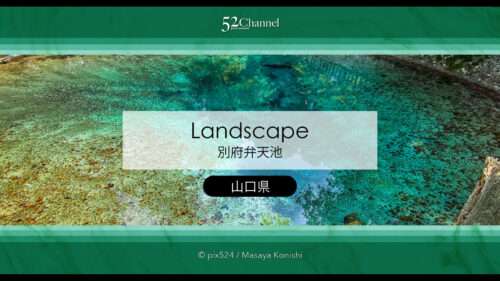 別府弁天池：神秘の湧水ブルーの撮影と山口県萩市観光情報！見どころとアクセス完全版