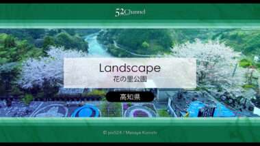 花の里公園（越知町）：芝桜とハナモモの絶景観光・撮影ポイント！手作りの桃源郷ガイド
