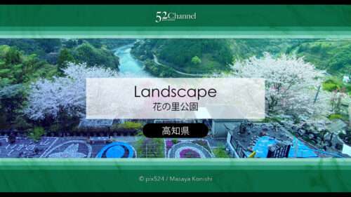 花の里公園（越知町）：芝桜とハナモモの絶景観光・撮影ポイント！手作りの桃源郷ガイド
