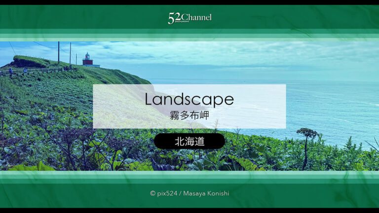 霧多布岬：北海道屈指の秘境フォトスポット！野生のラッコを撮影！観光と撮影ポイント