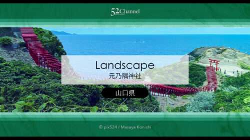 元乃隅神社：赤い鳥居が坂に続く山口県の絶景観光撮影スポット！アクセスと混雑回避ガイド
