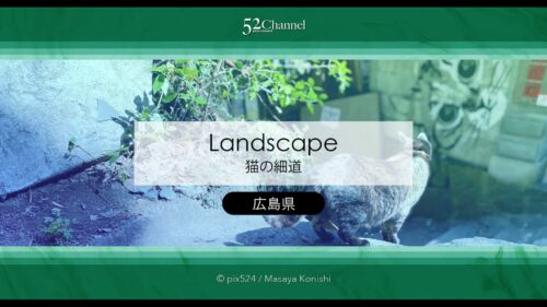 猫の細道：猫の町尾道の路地裏の散策！猫アートを楽しむ散歩道！広島県観光お勧めスポット