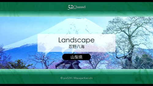忍野八海：絶景の湧泉群と富士山・桜シーズンの見どころと観光！春の撮影スポット解説