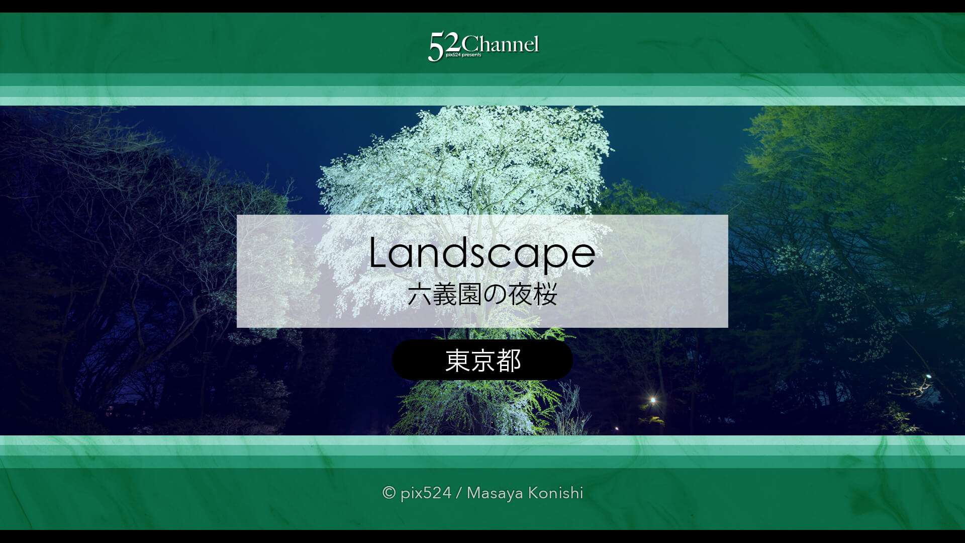 六義園の夜桜ライトアップ：鑑賞と撮影の難易度！混雑回避は？見頃の時期と夜桜撮影攻略