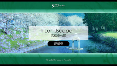 柳泉公園の桜並木：満開の桜が湧水に写り込むリフレクション撮影！桜並木撮影のコツとは？