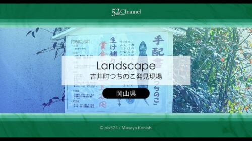 つちのこ発見現場吉井町！未確認生物ツチノコが埋葬されている町！岡山県不思議スポット