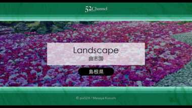 由志園：牡丹の見頃・四季の花々が溢れる日本庭園完全ガイド！アクセスと撮影・周辺観光！