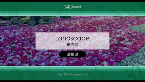 由志園：牡丹の見頃・四季の花々が溢れる日本庭園完全ガイド！アクセスと撮影・周辺観光！