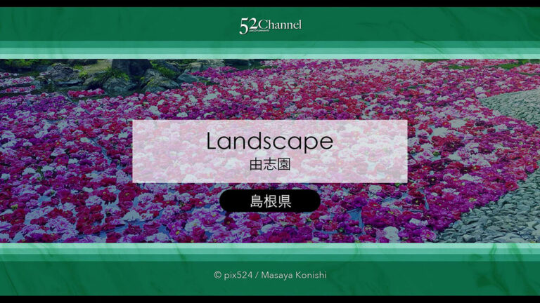 由志園：牡丹の見頃・四季の花々が溢れる日本庭園完全ガイド！アクセスと撮影・周辺観光！