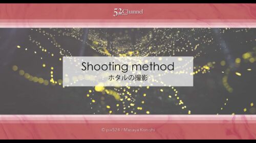 ホタルの撮影方法！長時間露光で撮り比較明合成で編集する蛍撮影！夏の始まりの幻想風景