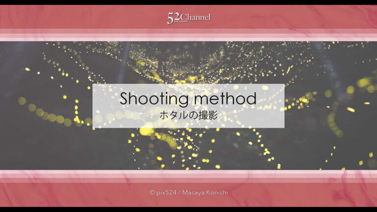 ホタルの撮影方法！長時間露光で撮り比較明合成で編集する蛍撮影！夏の始まりの幻想風景