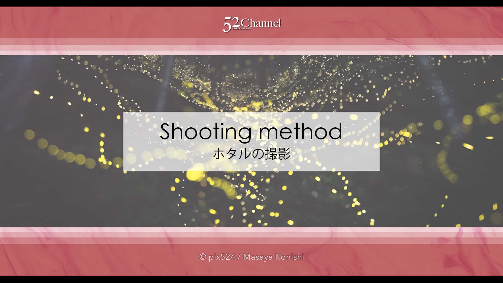 ホタルの撮影方法!長時間露光で撮り比較明合成で編集する蛍撮影!夏の始まりの幻想風景