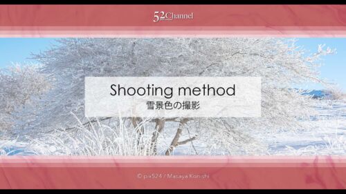 雪景色の撮影方法は？霧氷・樹氷・氷柱・積雪や雪が降る風景！冬の美しい被写体