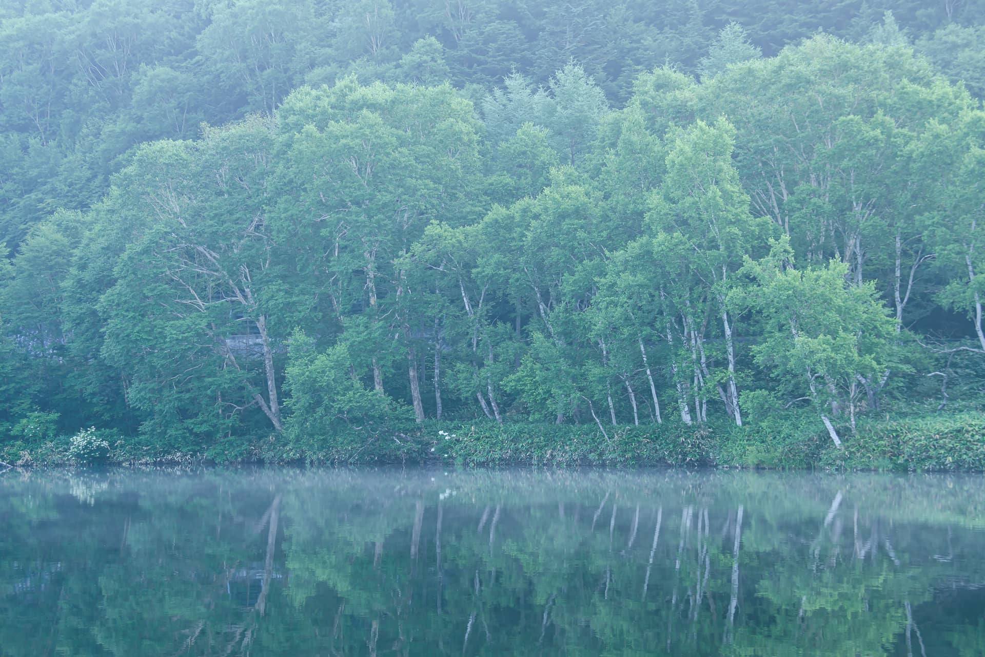 写真を楽しむブログ コンテンツ：撮影地