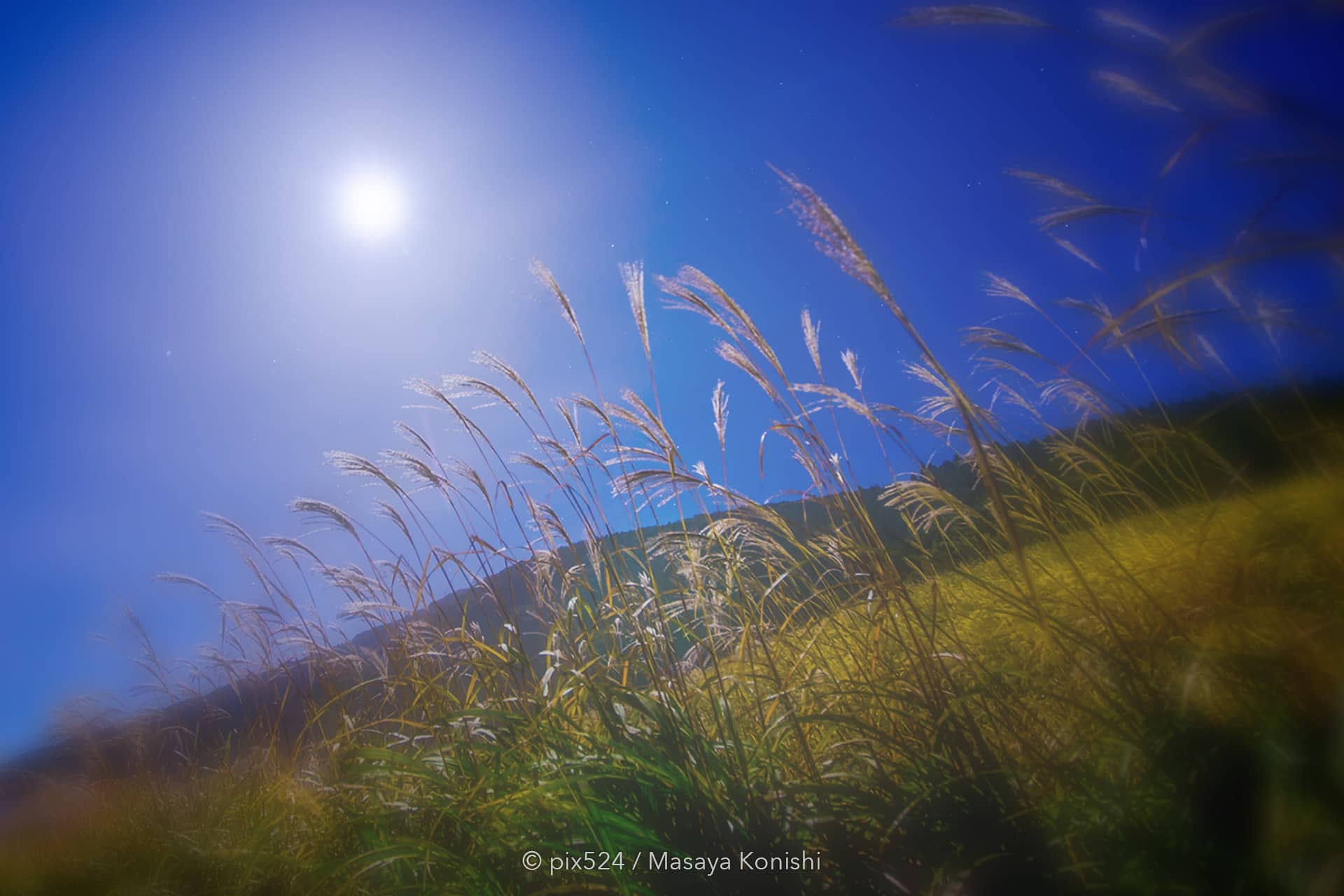 写真を楽しむブログ コンテンツ：撮影地