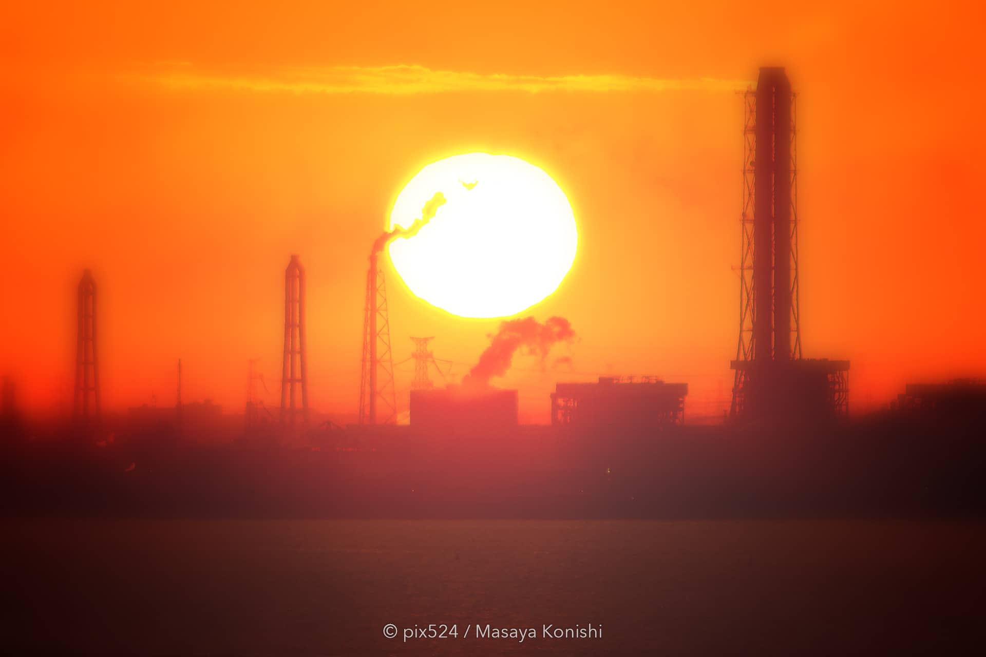 写真を楽しむブログ コンテンツ：写真情報