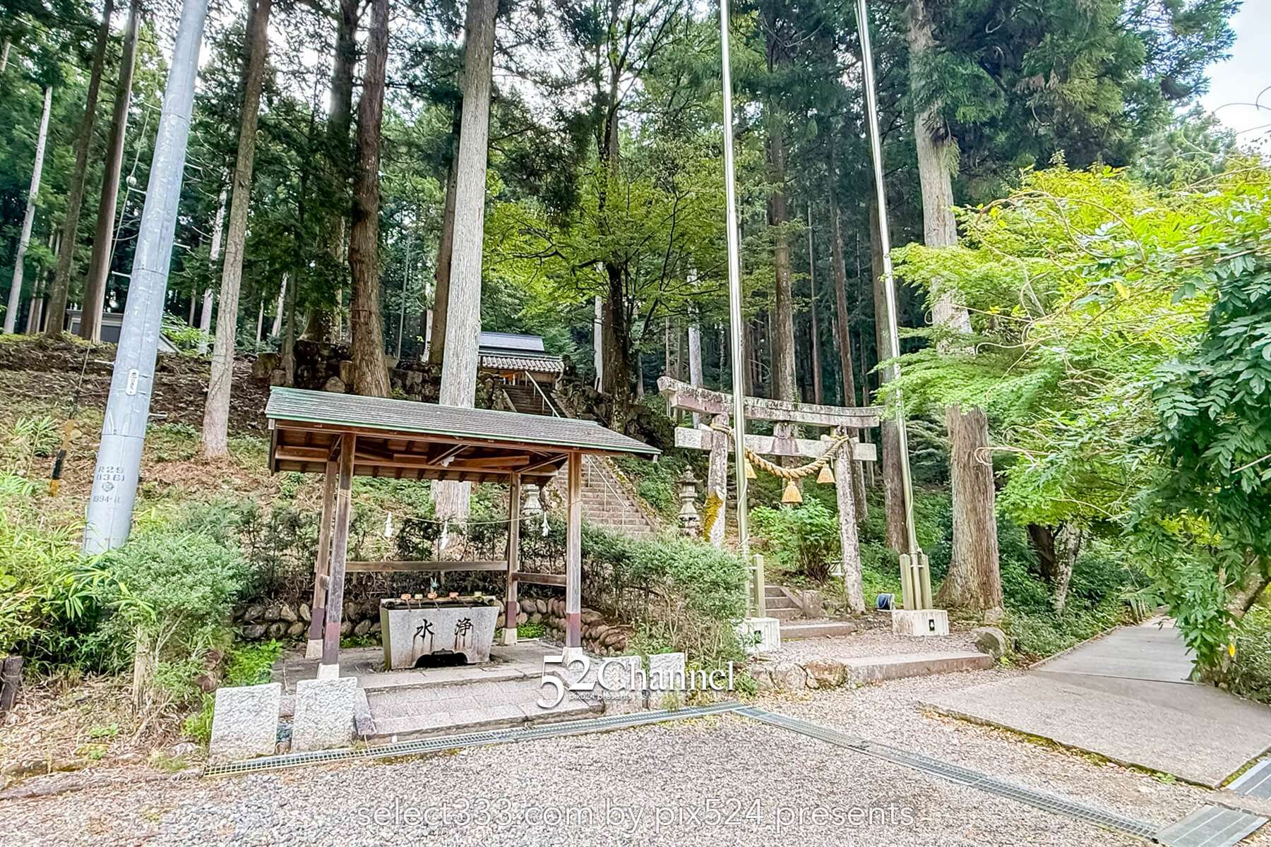 モネの池：根道神社 岐阜県関市の撮影ポイントとアクセス！幻想的な池の撮影と季節別の魅力