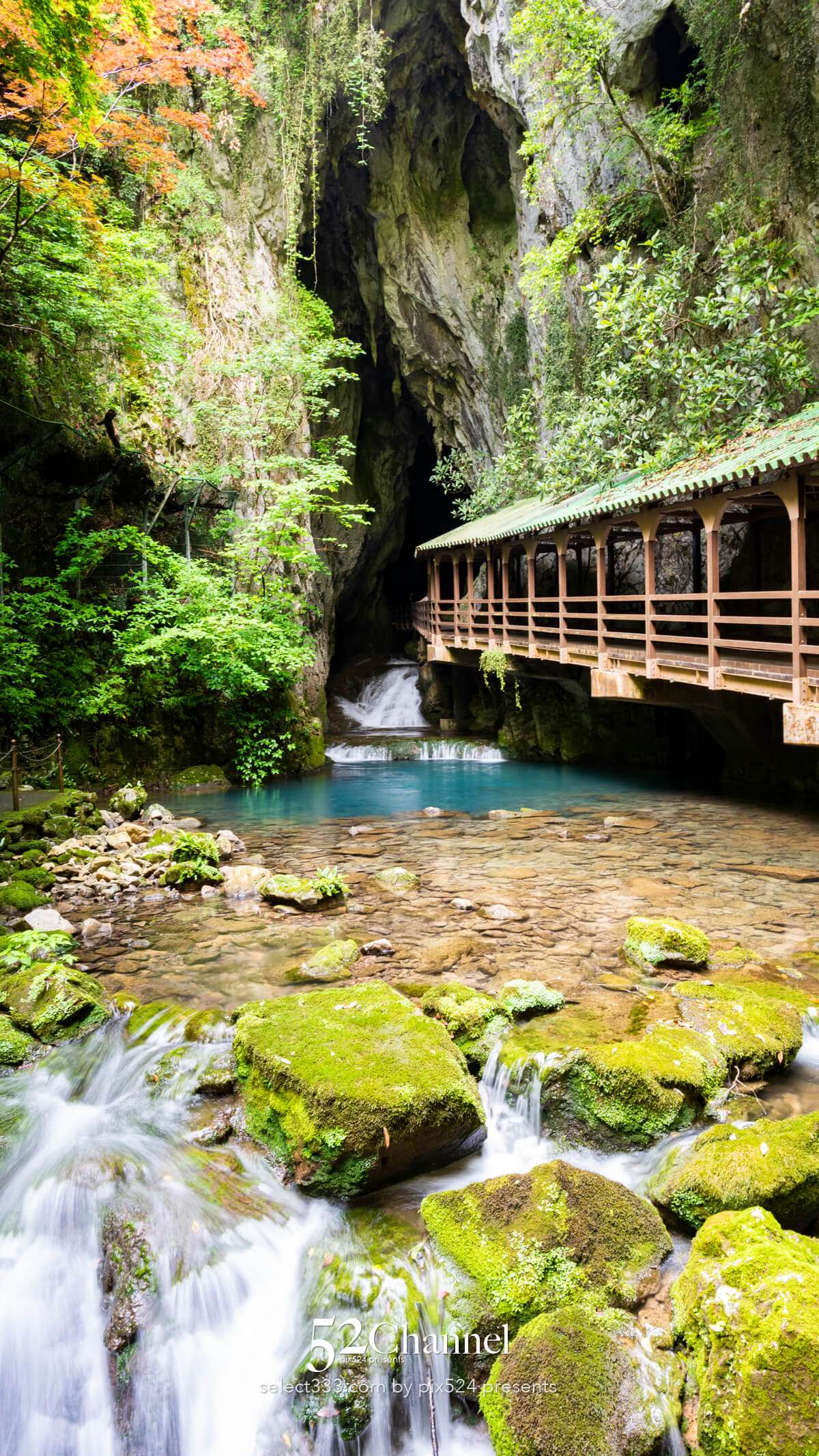 秋芳洞:日本最大級の鍾乳洞の見どころ観光・撮影ポイント!混雑・アクセス・周辺観光情報