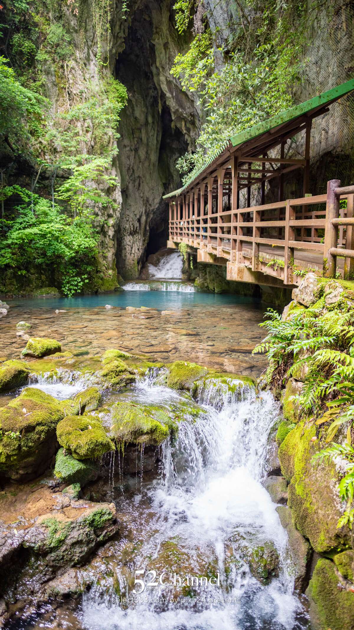 秋芳洞:日本最大級の鍾乳洞の見どころ観光・撮影ポイント!混雑・アクセス・周辺観光情報