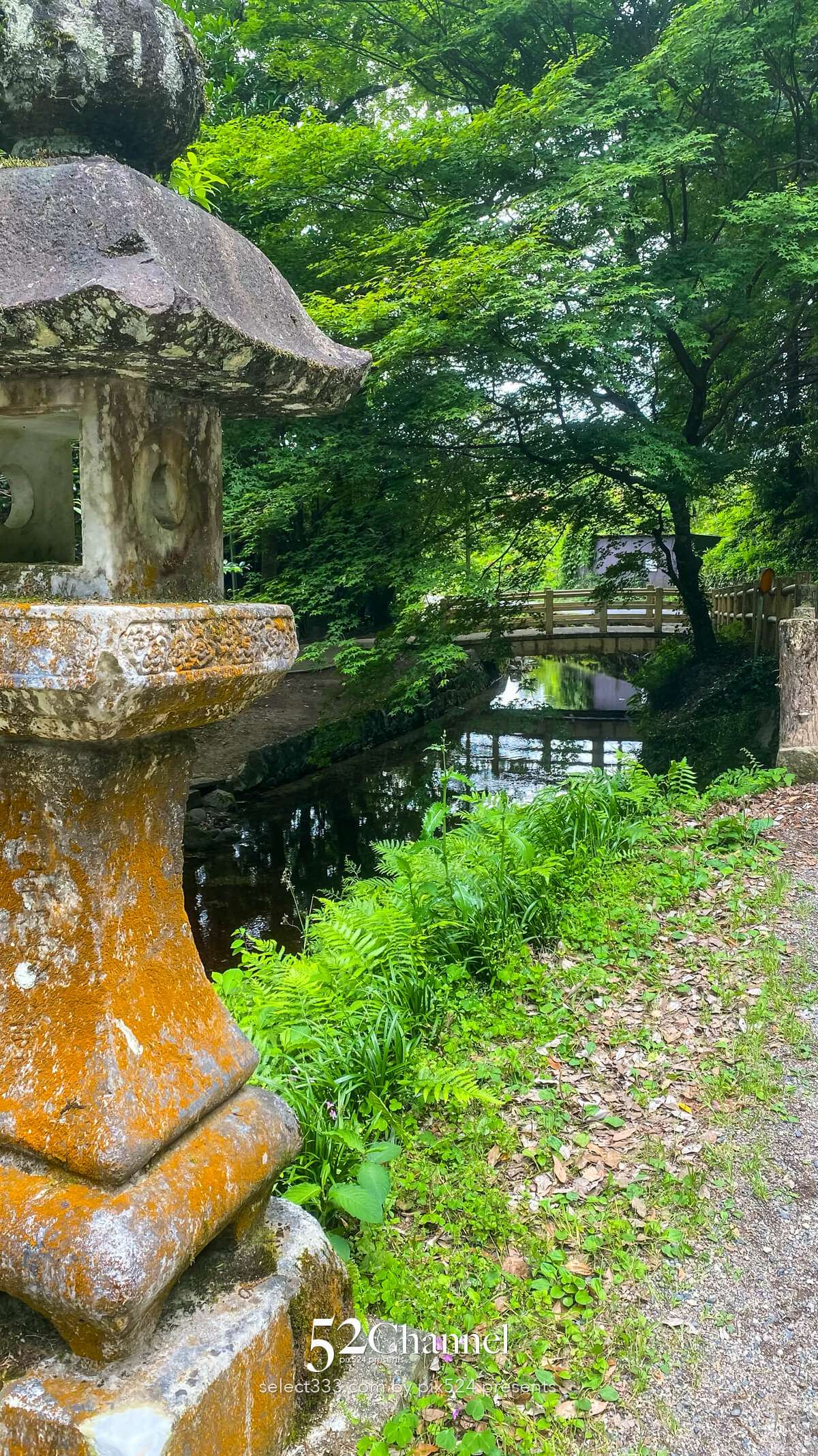 別府弁天池：神秘の湧水ブルーの撮影と山口県萩市観光情報！見どころとアクセス完全版