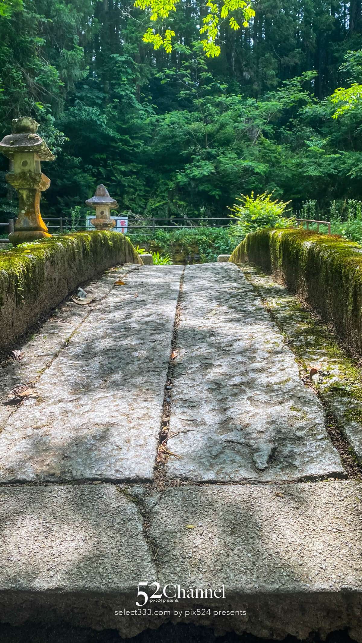 別府弁天池：神秘の湧水ブルーの撮影と山口県萩市観光情報！見どころとアクセス完全版