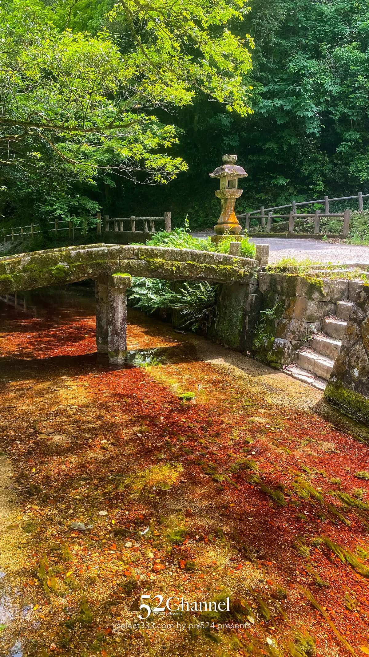 別府弁天池：神秘の湧水ブルーの撮影と山口県萩市観光情報！見どころとアクセス完全版