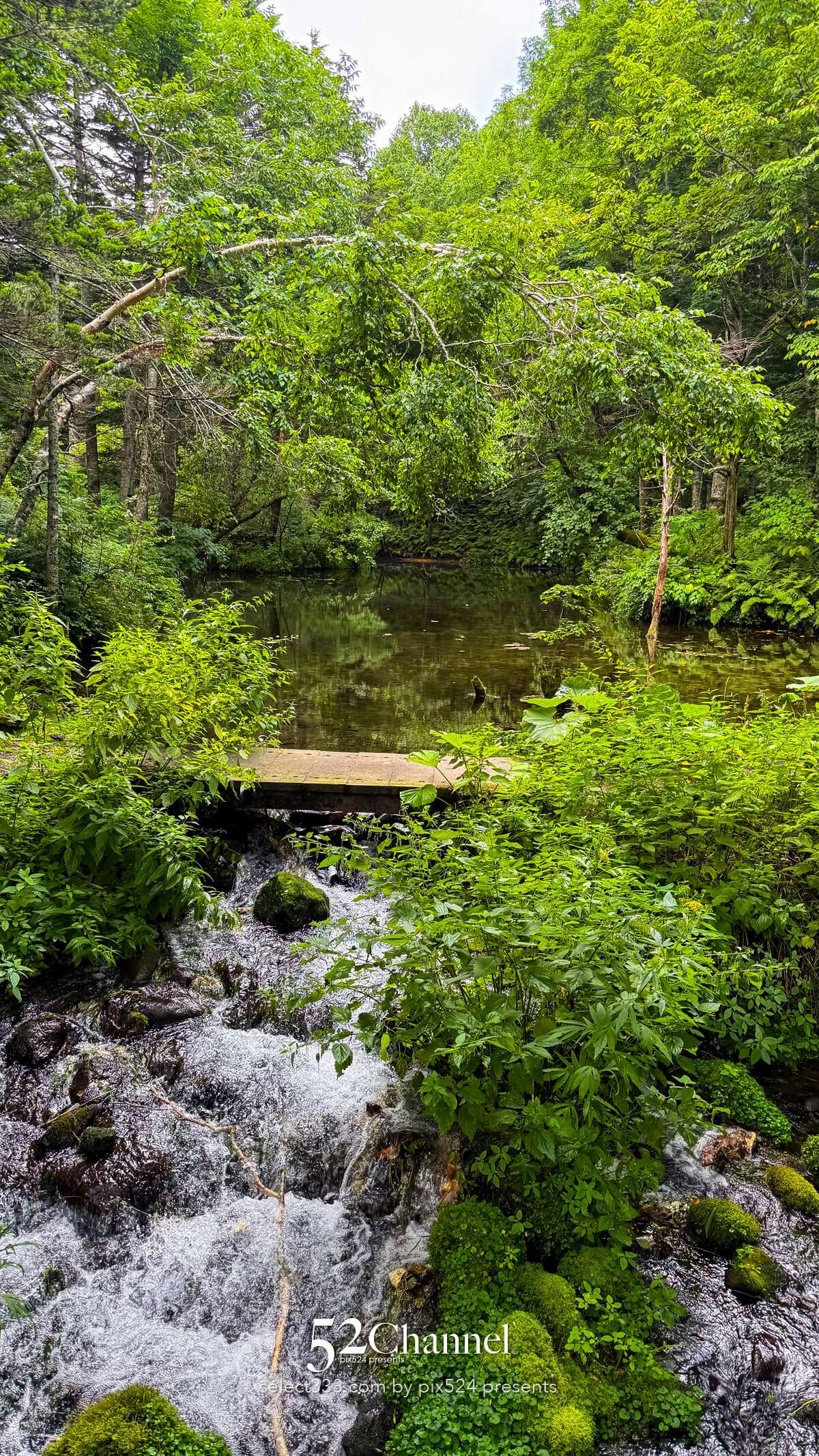 神の子池:絶景の秘境ブルースポットの見どころと撮影ポイント!北海道の映えるスポット
