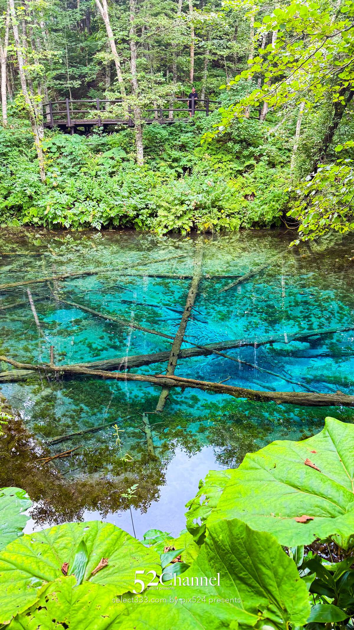 神の子池:絶景の秘境ブルースポットの見どころと撮影ポイント!北海道の映えるスポット