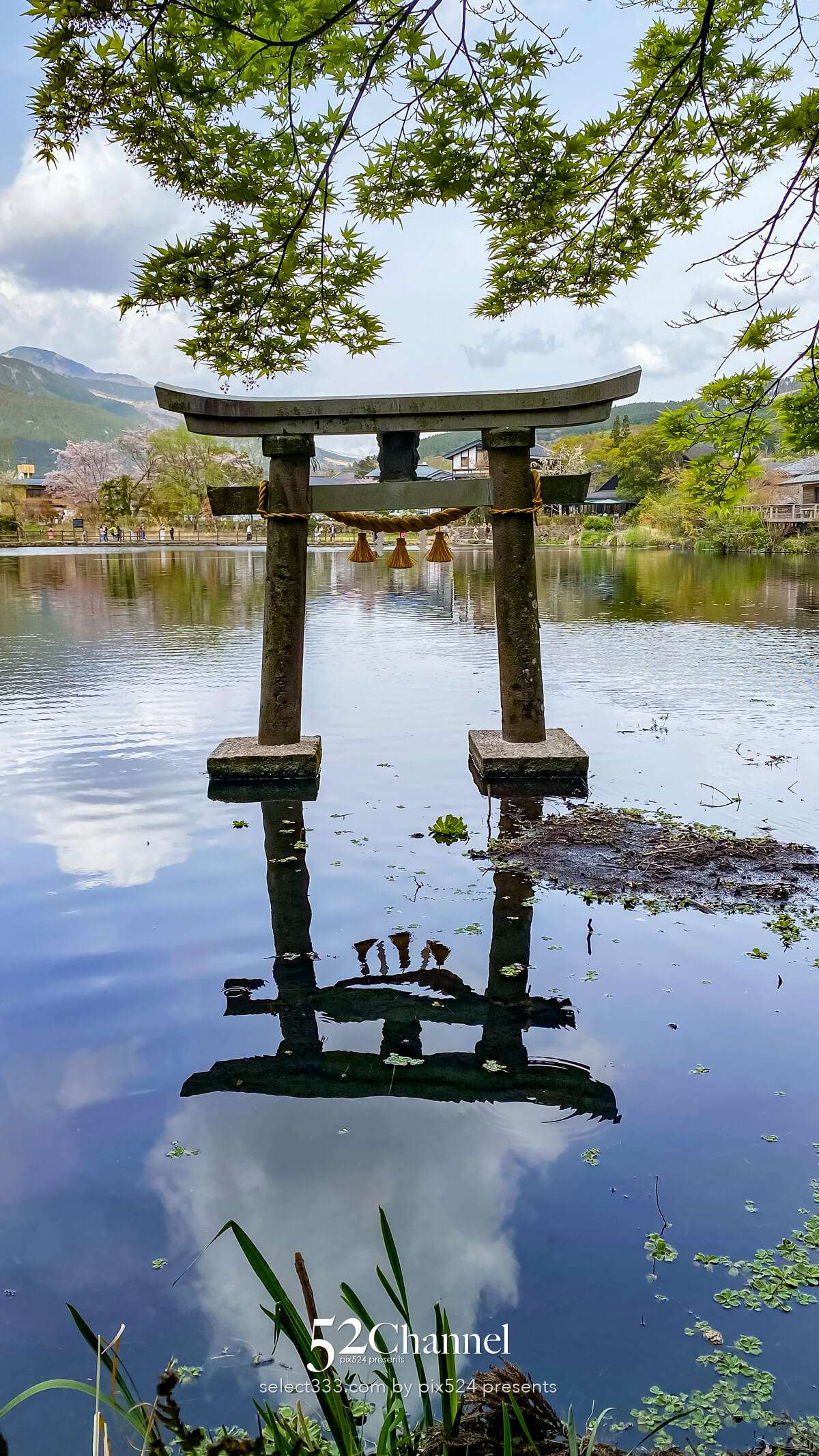 金鱗湖：大分県湯布院の人気観光地見どころ・撮影ポイント！朝霧・紅葉・湖畔散策ガイド