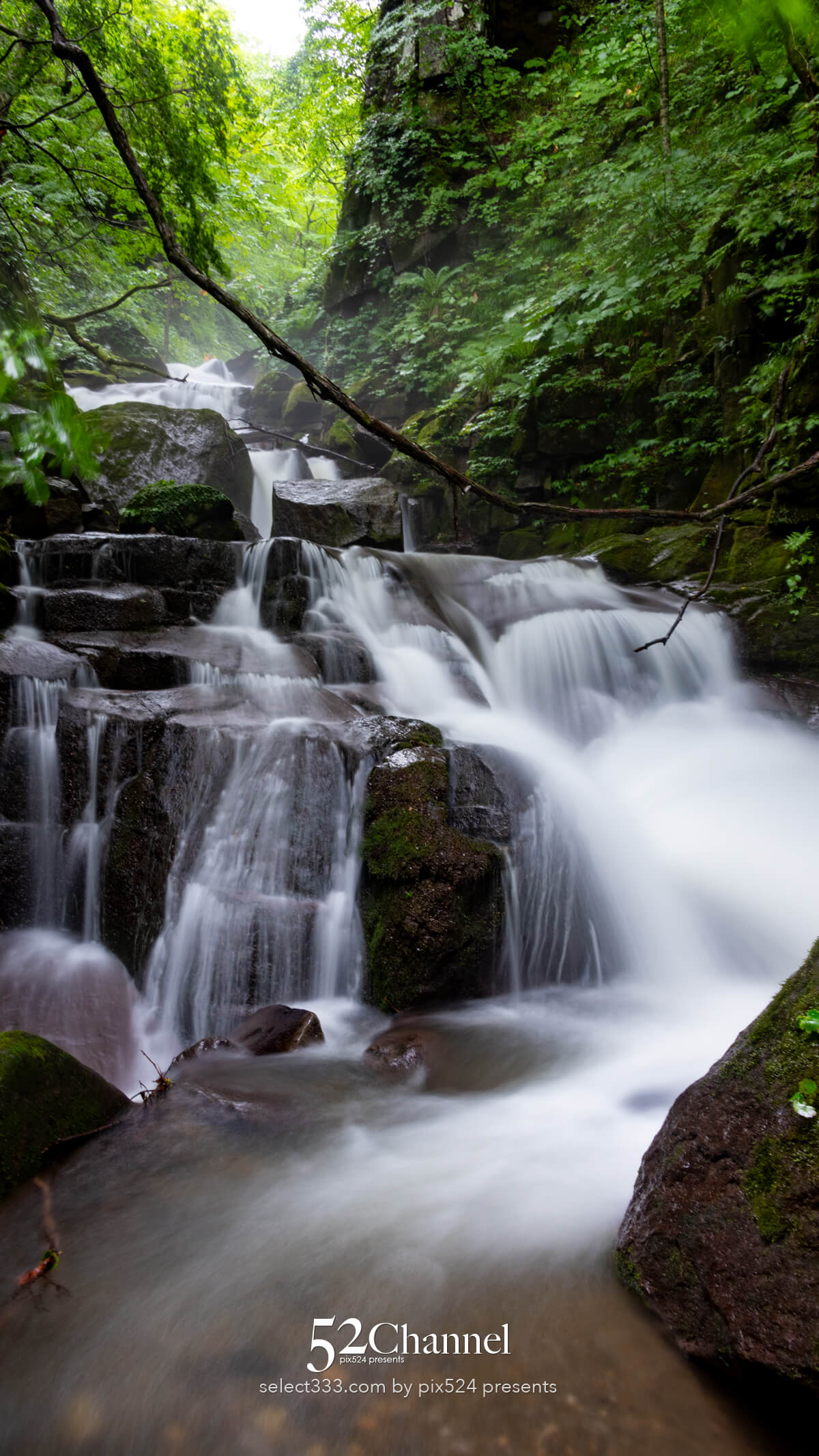 奥入瀬渓流:水の芸術が織りなす渓流!撮影ポイント14選とは?絶景ポイントと混雑回避