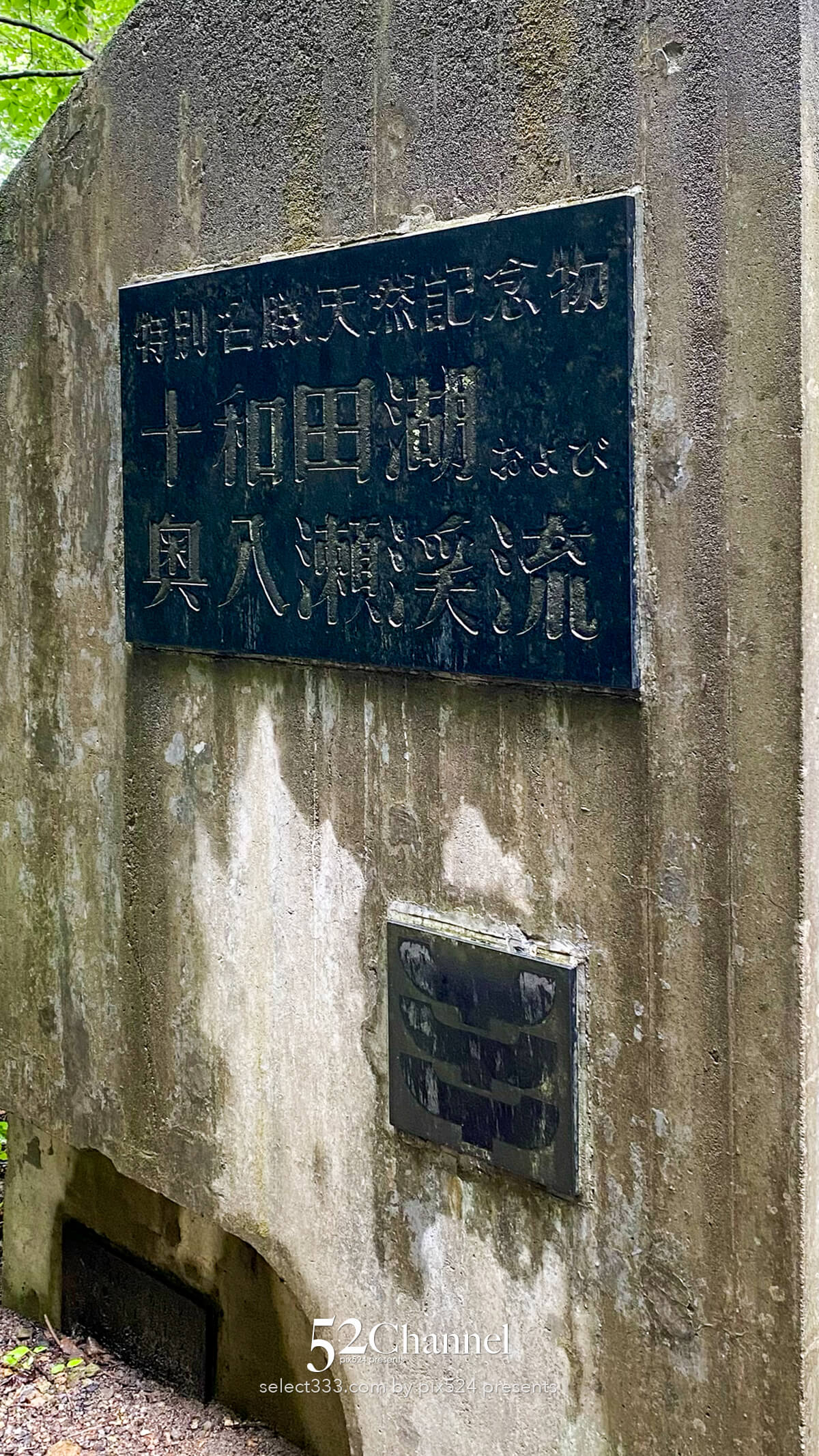 奥入瀬渓流:水の芸術が織りなす渓流!撮影ポイント14選とは?絶景ポイントと混雑回避