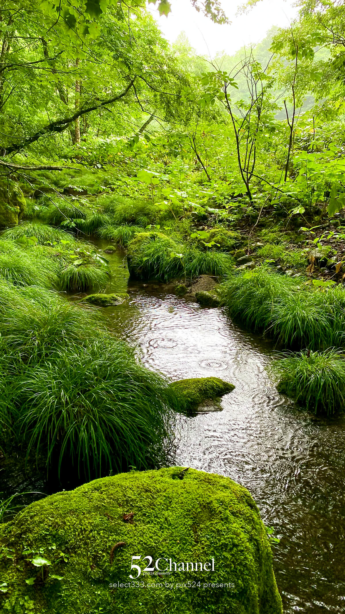 奥入瀬渓流:水の芸術が織りなす渓流!撮影ポイント14選とは?絶景ポイントと混雑回避