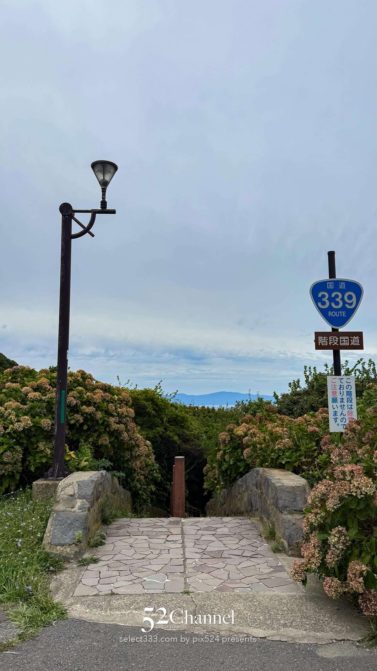 階段国道339号：車が通れない国道とは？階段国道の魅力とは？観光・撮影ポイントガイド