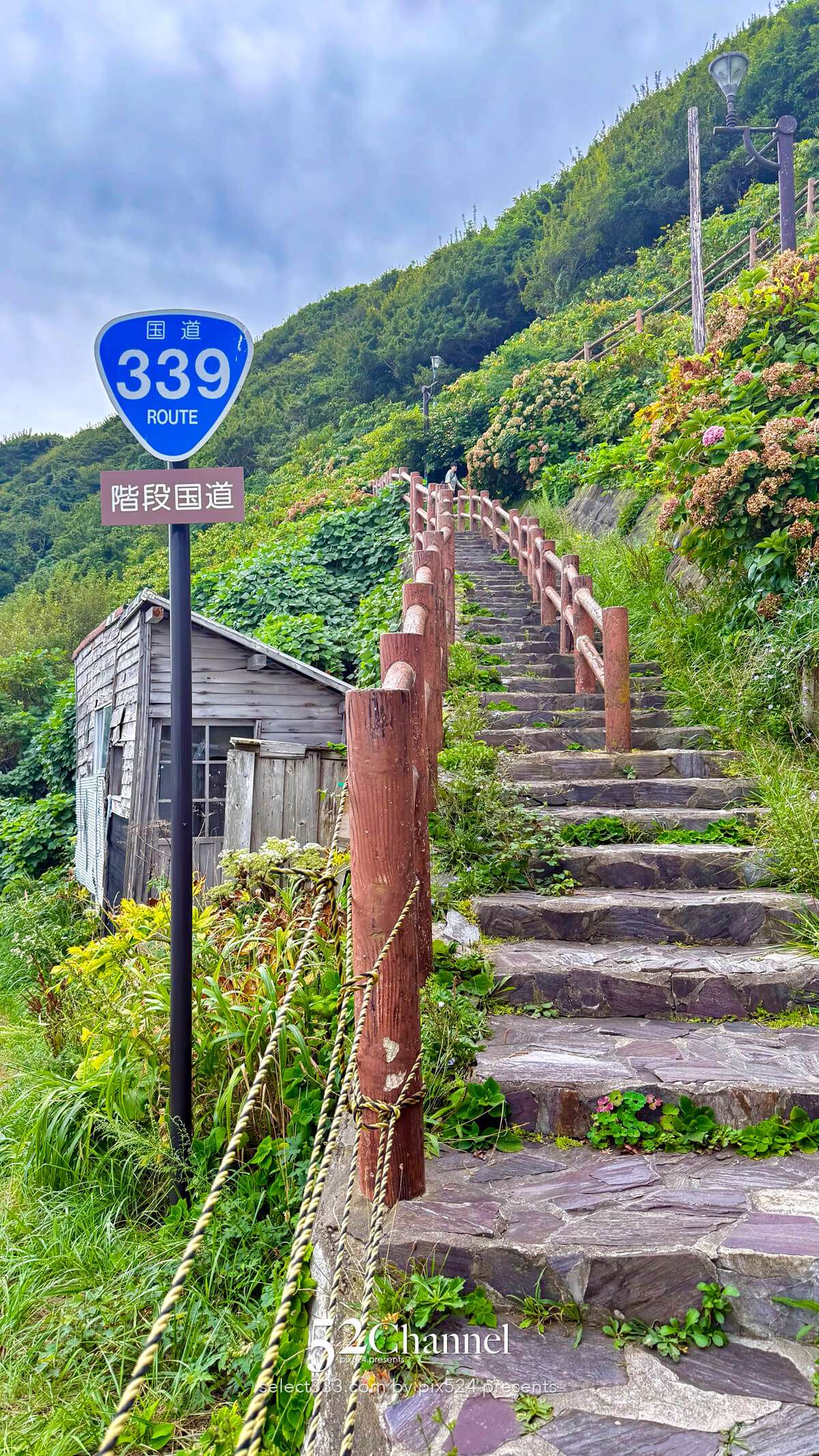 階段国道339号：車が通れない国道とは？階段国道の魅力とは？観光・撮影ポイントガイド