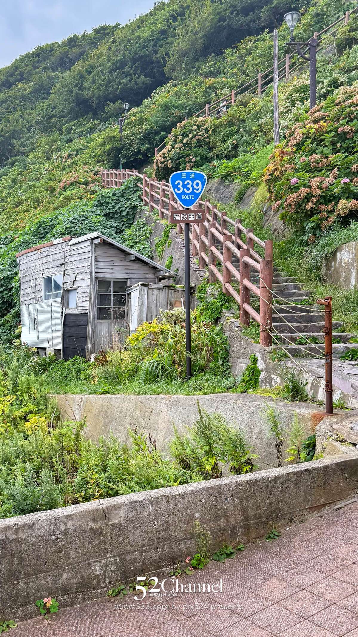 階段国道339号：車が通れない国道とは？階段国道の魅力とは？観光・撮影ポイントガイド