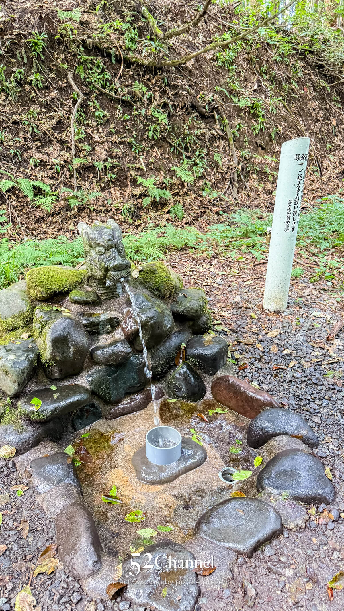 龍ヶ窪:色鮮やかな神秘の湧水地!絶景秘境の観光・撮影ポイント!名水百選の撮影スポット