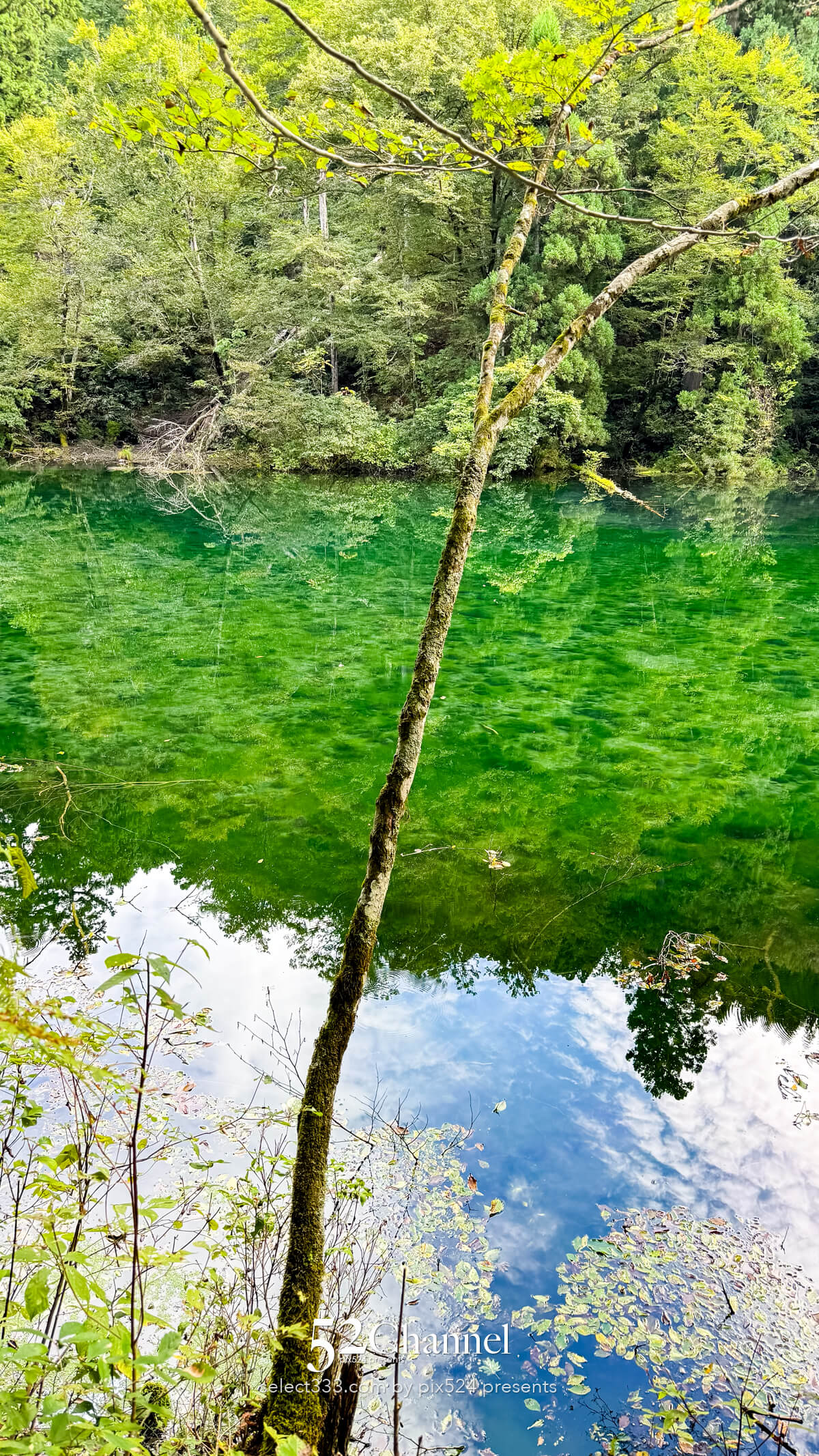 1985年には環境庁(当時)によって「日本名水百選」に認定されました。
その維持管理の良さと水質の高さは全国的にも広く知られるようになりました。