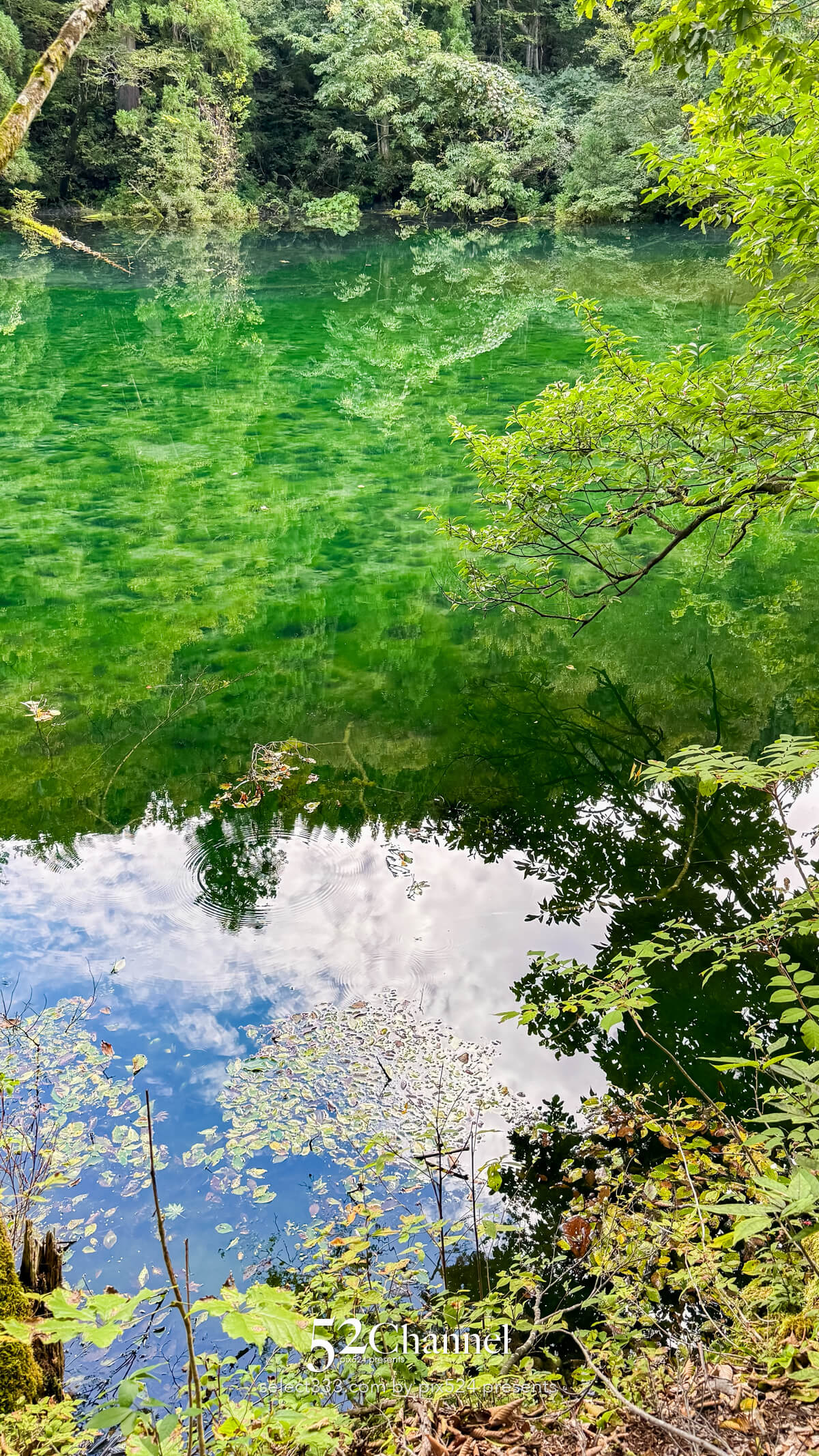 龍ヶ窪:色鮮やかな神秘の湧水地!絶景秘境の観光・撮影ポイント!名水百選の撮影スポット