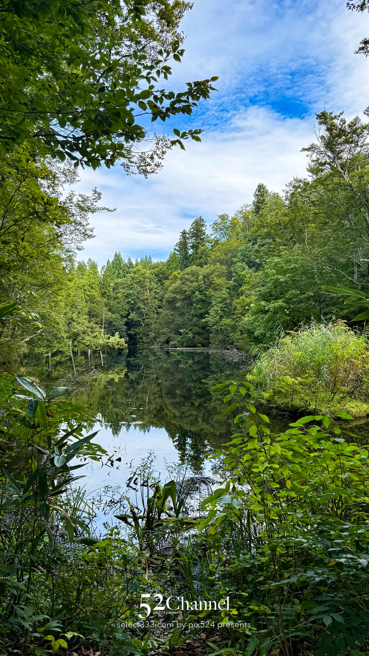 1985年には環境庁(当時)によって「日本名水百選」に認定されました。
その維持管理の良さと水質の高さは全国的にも広く知られるようになりました。