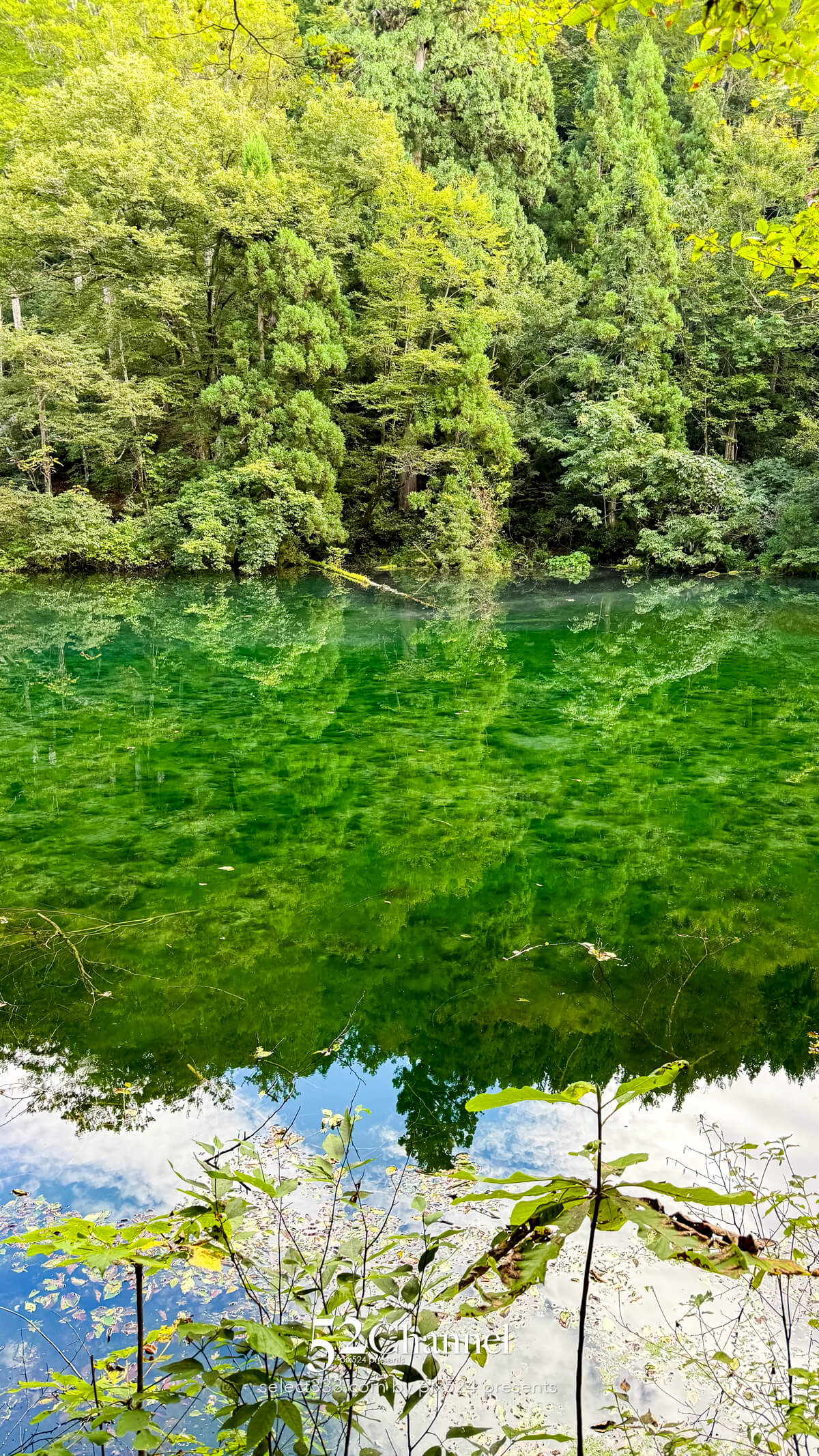 龍ヶ窪:色鮮やかな神秘の湧水地!絶景秘境の観光・撮影ポイント!名水百選の撮影スポット