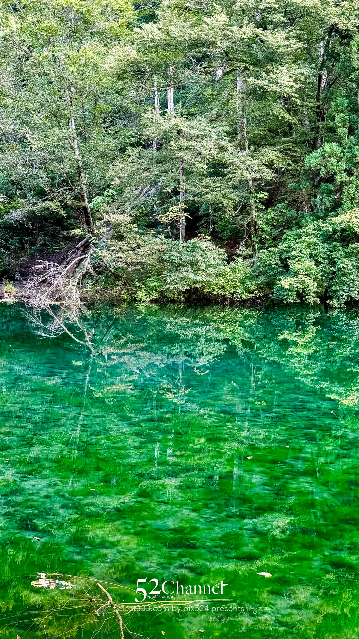 龍ヶ窪:色鮮やかな神秘の湧水地!絶景秘境の観光・撮影ポイント!名水百選の撮影スポット