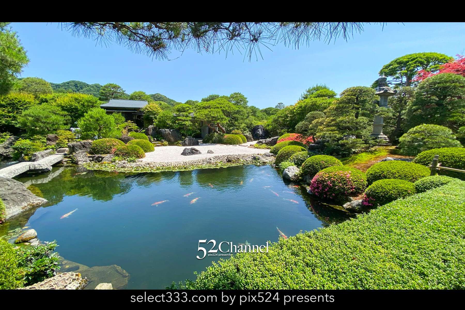 足立美術館：日本一の庭園美の見どころと観光・観覧・撮影ポイント！撮影攻略と混雑状況